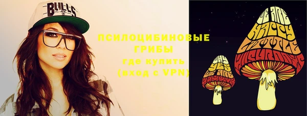 ГАЛЛЮЦИНОГЕННЫЕ ГРИБЫ Абинск