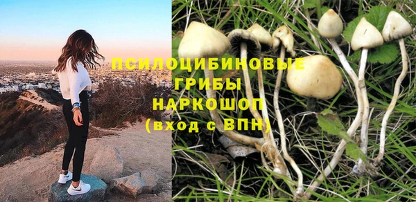 гидра Абдулино